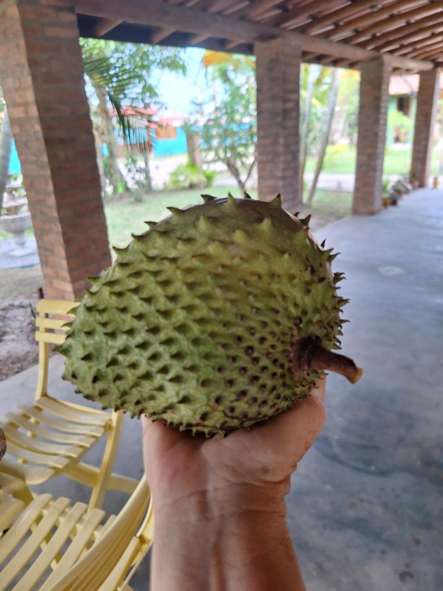 Casas Lindas No Paraiso! Costa Dourada Eksteriør billede