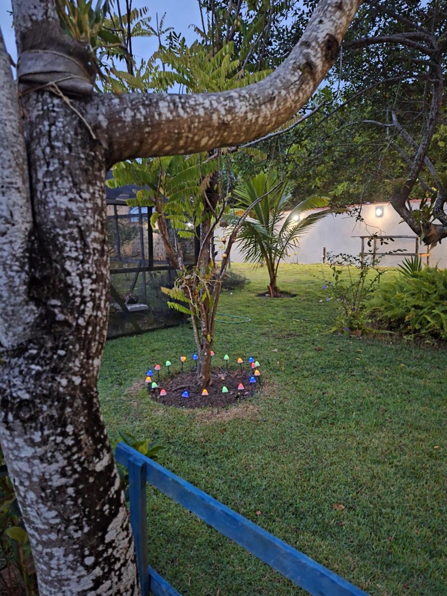 Casas Lindas No Paraiso! Costa Dourada Eksteriør billede