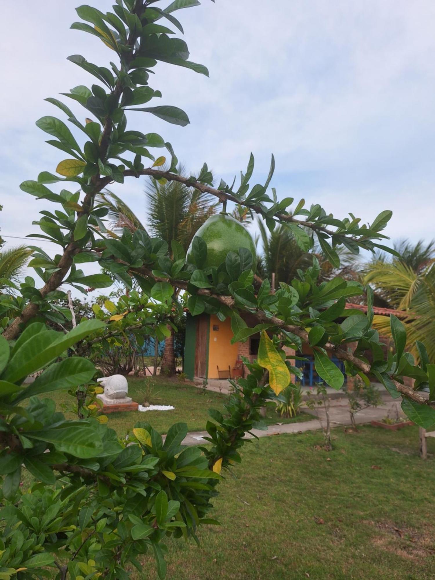 Casas Lindas No Paraiso! Costa Dourada Værelse billede